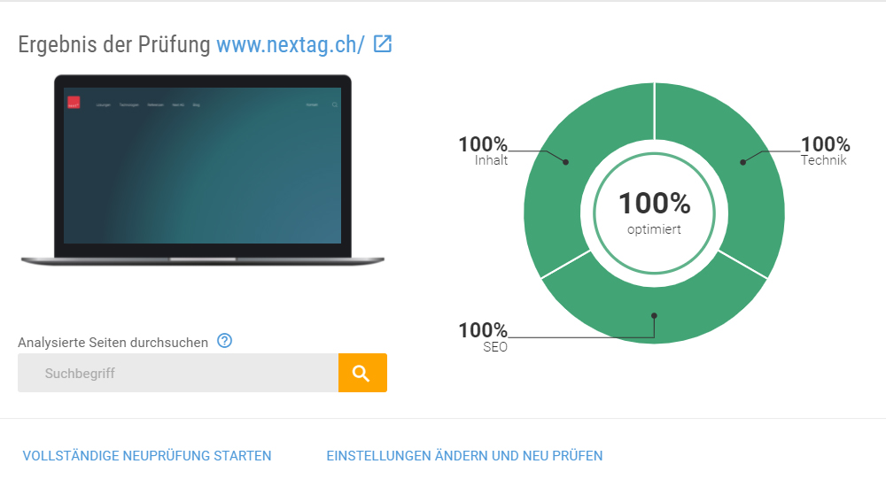 Ergebnis Next Website - SEO Analyse, Auswertung