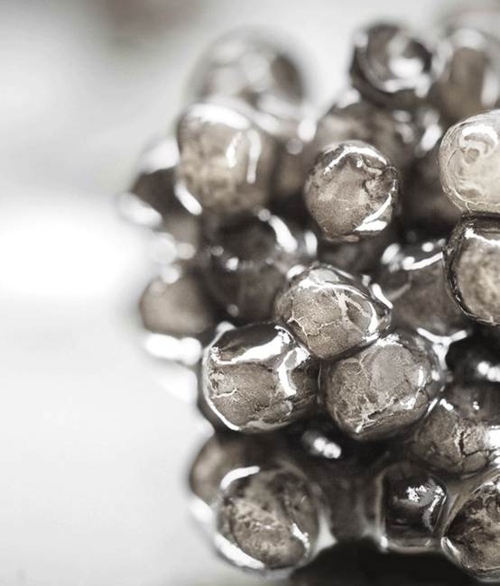 Online Shop WooCommerce und WordPress Blog für Zwyercaviar