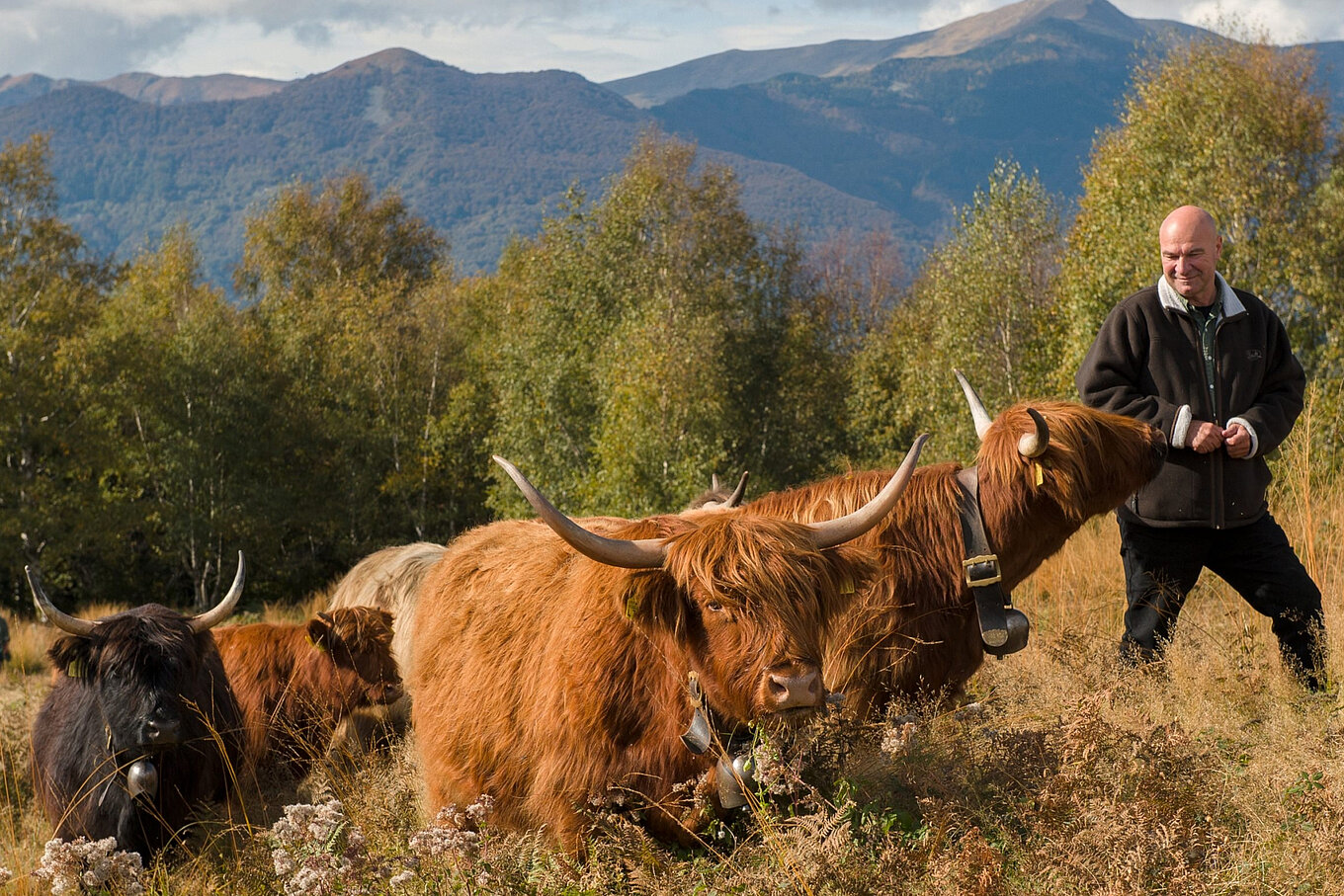 Naturkonkret Abacus Online Shop