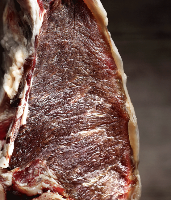 Ernst Sutter AG TYPO3 Website