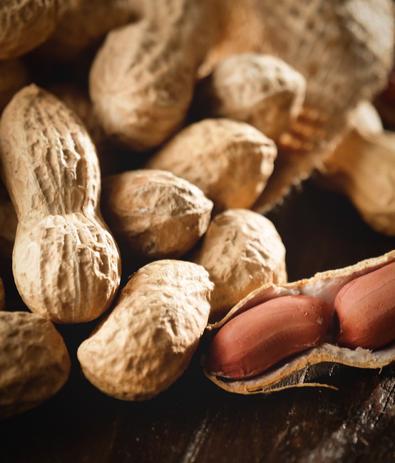 Next AG - Shopware 6 Online Shop für Gerelli Shopware 6 Online Shop für Gerelli