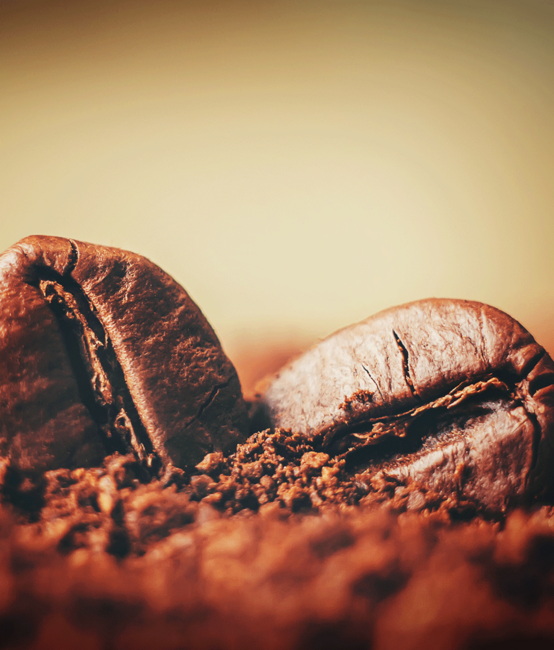 Webshop Design für dä Kafimaa