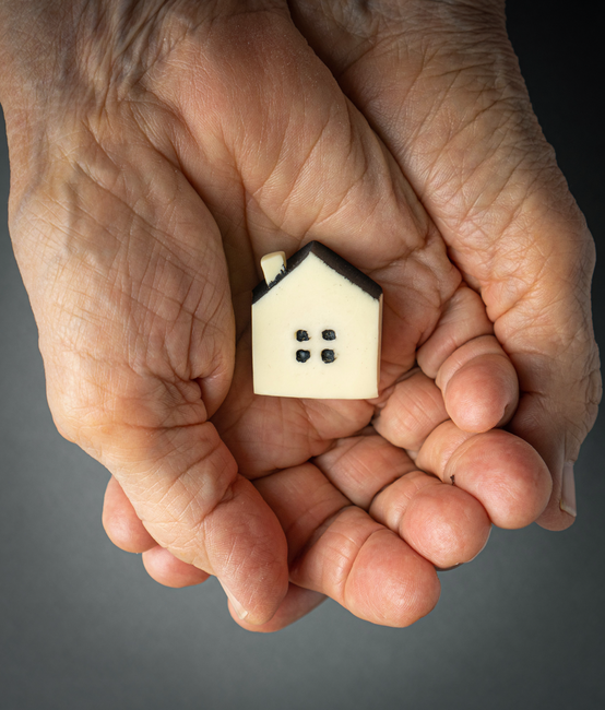 WordPress Website für altrimo ag