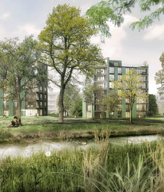 WordPress Website für Am Chatzenbach Seebach