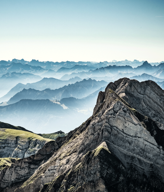 Website und Magento Online Shop mit Schnittstelle zu microsoft dynamics nav