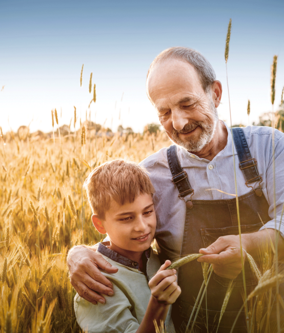 AHV Ostschweiz Webdesign und Umsetzung mit TYPO3