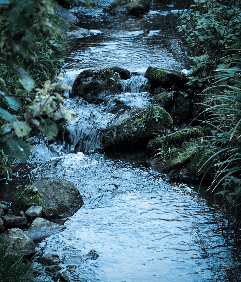 Online Geschäftsbericht für die GVSG 2024