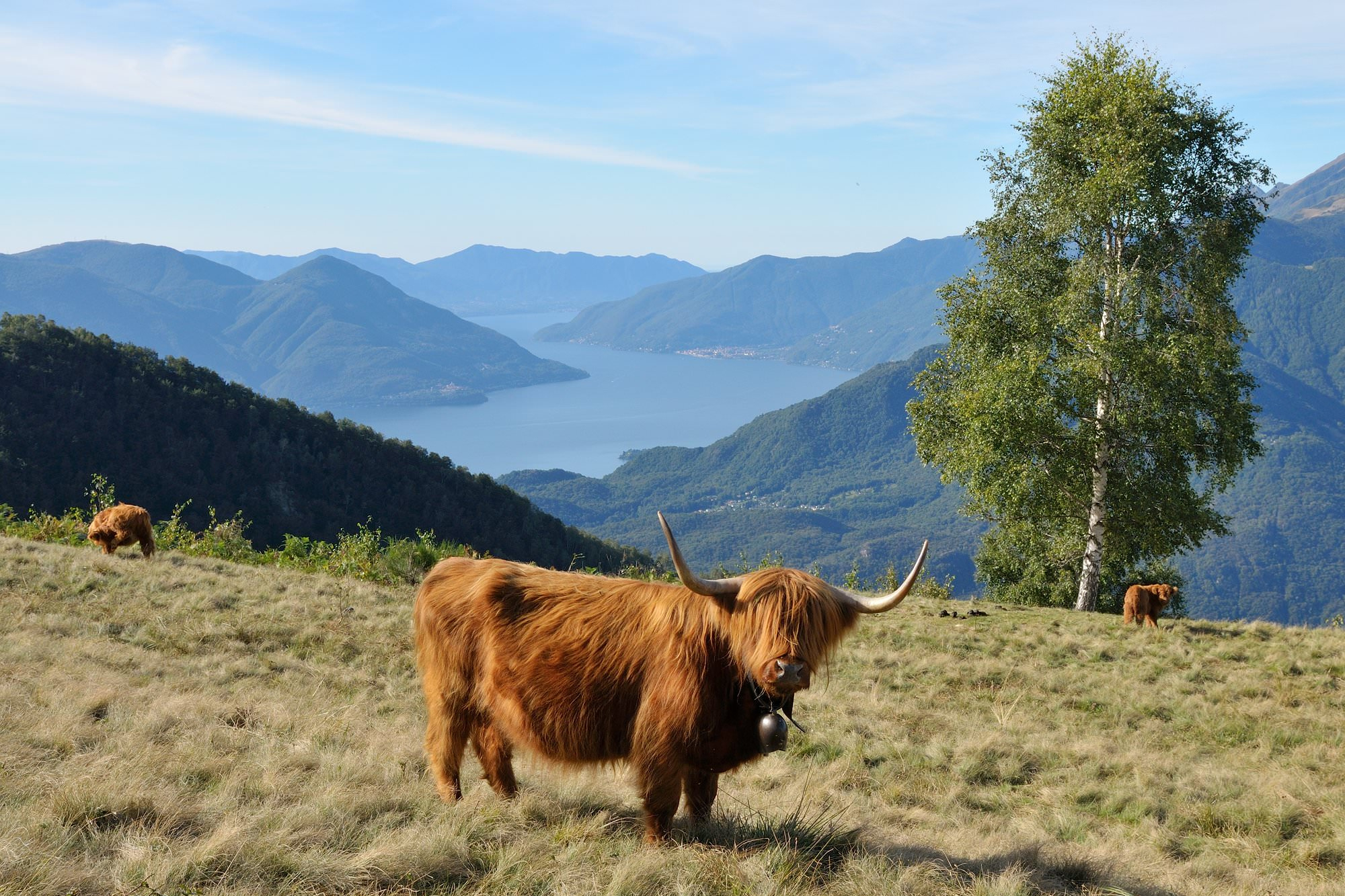 Naturkonkret Abacus AbaShop