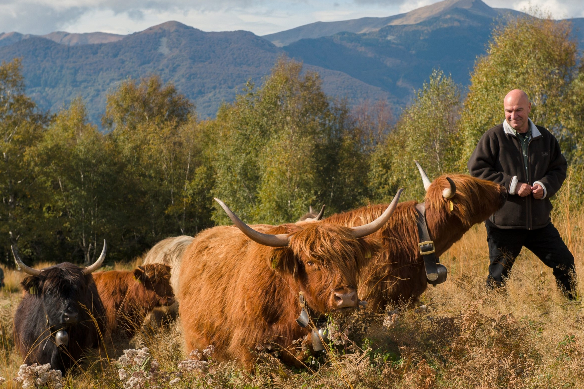 Naturkonkret Abacus Online Shop